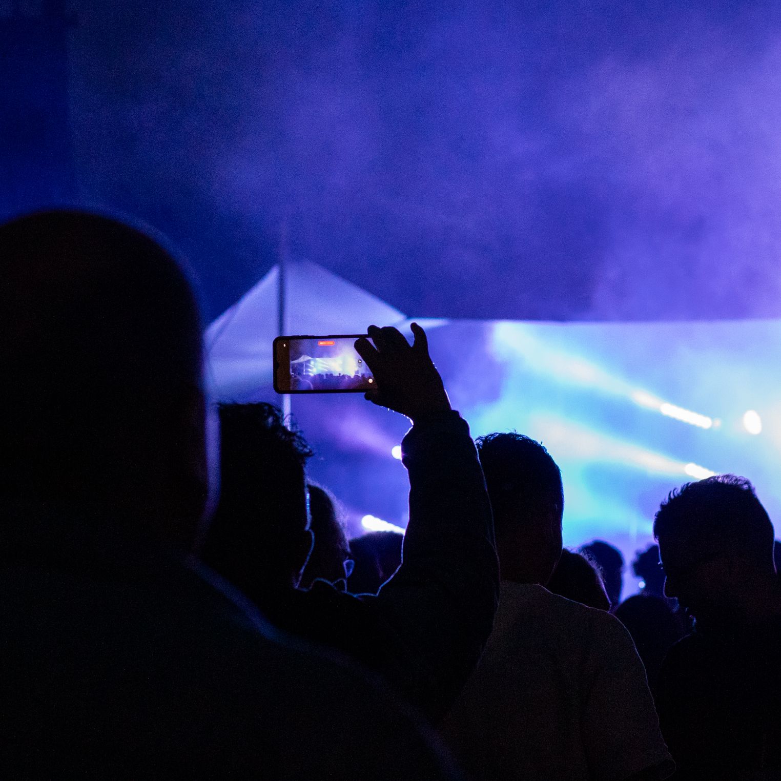 Public du Imagina Festival